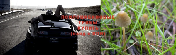 не бодяженный Беломорск