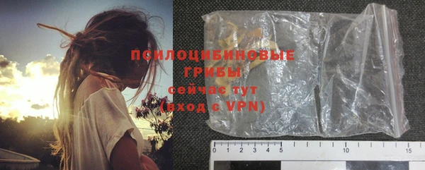 молекула духа Белокуриха