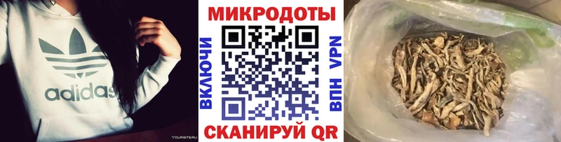 где купить наркоту  Краснослободск  Галлюциногенные грибы Psilocybine cubensis 